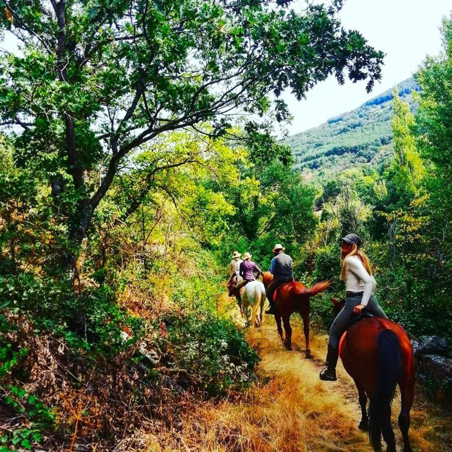 Hotel Ribera Del Corneja Navacepedilla de Corneja Ngoại thất bức ảnh